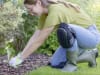 KERBL Knieschoner "ComfortKnee" 235 x 180 mm, 345113