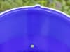KERBL Geflügeltränkeeimer 12 l, blau, 70200