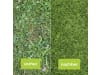 Protect Garden Unkrautvernichter "Loredo® Quattro Universal Rasenunkrautfrei", 86601860