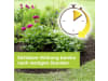 Protect Garden Unkrautvernichter "Permaclean Duo Unkraut & Wurzel-Ex"