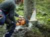 Husqvarna® Benzin-Kettensäge "450X" 2,5 kW (3,4 PS) Schienenlänge 38 cm, 9707028-15