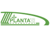 Planta