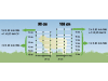 Ako Schafzaun "Titan Net" grün; weiß, mit Doppelspitze, stromführend