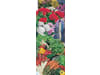 Klasmann-Deilmann Florabella® Bio-Blumenerde 40 l  Anzuchterde