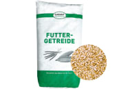 Weizen Ganzkorn ohne Gentechnik Futterweizen für Hühner, Kaninchen und Nager 30 kg Sack Weizen Ganzkorn ohne Gentechnik Futterweizen für Hühner, Kaninchen und Nager 30 kg Sack