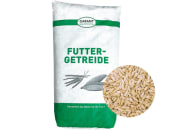 Gerste Ganzkorn ohne Gentechnik Futtergerste für Pferde, Hühner und Kleintiere 30 kg Sack 