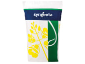 Winterraps Saatgut Syngenta Aganos 