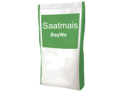 Mais-Saatgut SM Perseus (ca. S250) Mais-Saatgut SM Perseus (ca. S250)