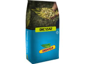 Mais-Saatgut Dekalb DKC 5092 (ca. K 310) 