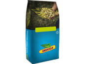 Mais-Saatgut Dekalb DKC 4038 Redigo M + B360 + Korit 50000 Körner/EH Mais-Saatgut Dekalb DKC 4038 Redigo M + B360 + Korit 50000 Körner/EH