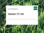 Deutsches Weidelgras Saatgut Dexter tetraploid ZS ungebeizt 25 kg Sack 