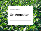 Markstammkohl Samen Gr. Angeliter (ungebeizt) ZS ungebeizt 