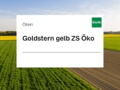 Öllein Saatgut Goldstern gelb ZS 25 kg Sack 