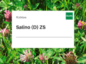 Rotklee Saatgut Salino diploid ZS ungebeizt 25 kg Sack 