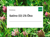 Rotklee Samen Salino (diploid) ZS Bio 10 kg Sack 