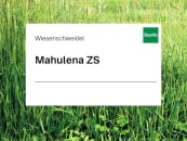 Wiesenschweidel Mahulena ZS ungebeizt 20 kg Sack 