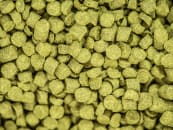 Perle Hopfen 