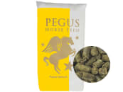 Pegus Natural Grünhafercobs stärkearmes Kraftfutter ohne Zusatzstoffe für Pferde und Ponys Cobs 20 kg Sack Pegus Natural Grünhafercobs stärkearmes Kraftfutter ohne Zusatzstoffe für Pferde und Ponys Cobs 20 kg Sack