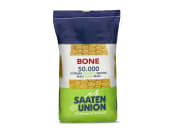 Mais-Saatgut Saaten Union BONE Redigo M + Korit/Duvit 50000 Körner/EH (S 260; K 260) 