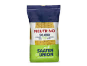 Mais-Saatgut Saaten Union NEUTRINO (S 240) 
