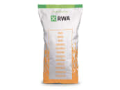 Mais-Saatgut RWA Tweetor Redigo M + Korit 50000 Körner/EH (S 310; K 310) 