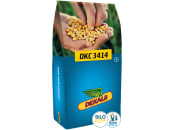 Mais-Saatgut Dekalb DKC 3414 (S 250 ca. K 240) 