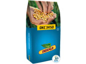 Mais-Saatgut Dekalb DKC 3450 (S 250 K 250) Mais-Saatgut Dekalb DKC 3450 (S 250 K 250)