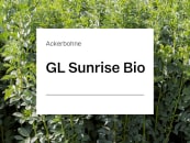 Ackerbohne GL Sunrise ZS Bio ungebeizt 30 kg Sack 