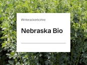 Winterackerbohne Nebraska Bio 