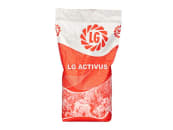 Winterraps Saatgut LG ACTIVUS 