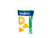 Sonnenblume Syngenta SY Chronos Bio ungebeizt Sack 150000 Körner/EH 