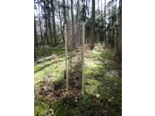 PlantaGard&reg; Wuchsh&uuml;lle "Freiwuchs-Bio 200" &Oslash; 20 cm H&ouml;he 120 cm, 1 St. 