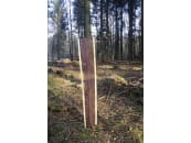 PlantaGard® Wuchshülle "Freiwuchs-Bio-Light 120" Ø 12 cm Höhe 120 cm, 1 St. PlantaGard® Wuchshülle "Freiwuchs-Bio-Light 120" Ø 12 cm Höhe 120 cm, 1 St.