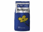 Winterraps Saatgut BASF HERMANN 