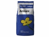 Winterraps Saatgut BASF ARMANI 