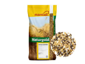 marstall® Schwarz-Gold Hafer naturbelassener, gereinigter Hafer aus 1/3 Schwarzhafer und 2/3 Gelbhafer 25 kg Sack 