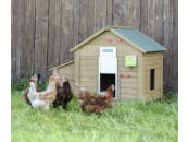 KERBL Hühnertür inkl. Steuerung und Führungsschienen für Geflügelställe 