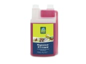 Lexa Magnesium-B12-Liquid mit Wirkstoffen für die Muskulatur von Pferden flüssig 1 l Flasche Lexa Magnesium-B12-Liquid mit Wirkstoffen für die Muskulatur von Pferden flüssig 1 l Flasche