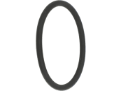 Rau O-Ring 38 x 3 mm, FKM 80 (Viton®), für Einspülvorrichtung, Verteilerarmatur Feldspritze, RG00037628 