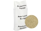 Sommerhafer Saatgut MAX Z2 ungebeizt 40 kg Sack 