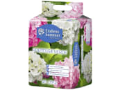 Floragard® Endless Summer Hortensienerde 