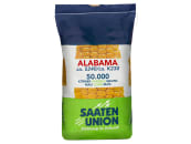 Mais-Saatgut Saaten Union ALABAMA (ca. S 240 ca. K 230) 