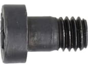 Fendt Zylinderschraube M 6 x 10 mm, für , X493604705000 