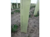 WitaPlant MV® Rebschutzsäule 60 cm 