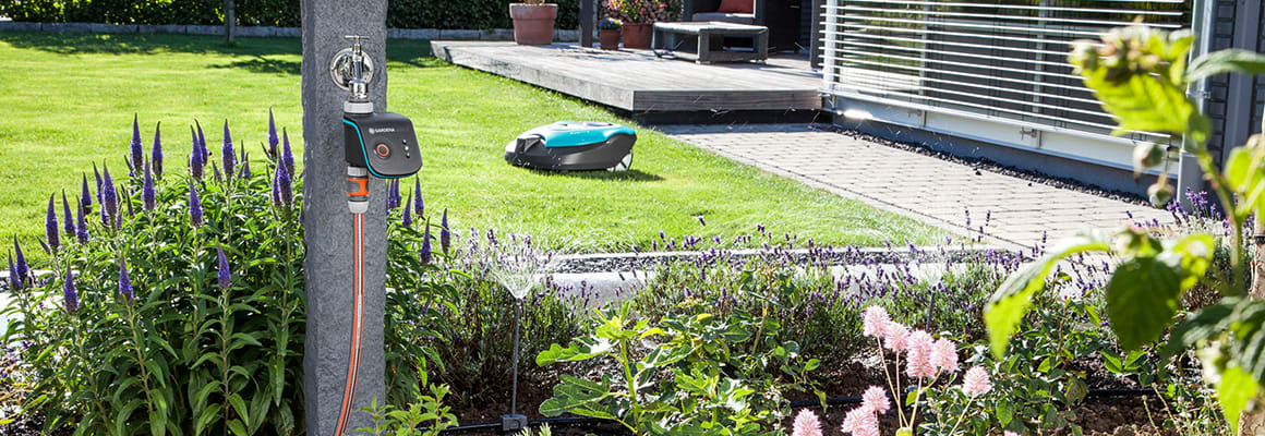 Mai Header_Gartenkalender_Mai_1160x400.jpg