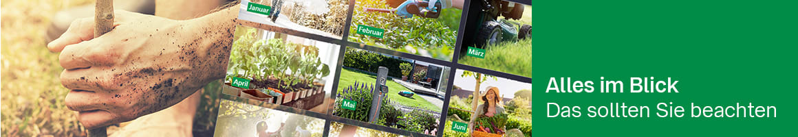 Alles im Blick - Das sollten Sie beachten Teaser_Fakten_Gartenkalender_1160x200.jpg