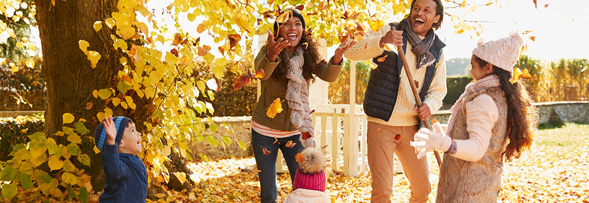 November Header_Gartenkalender_November_1160x400.jpg