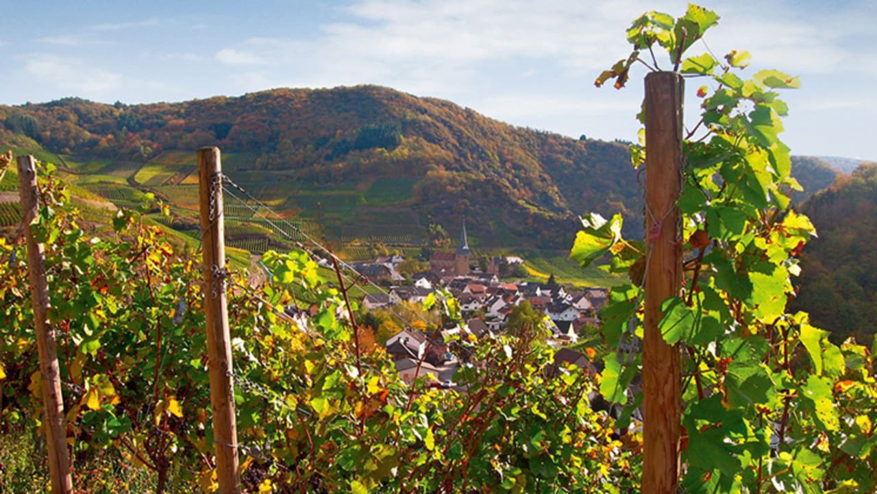 Das Fachsortiment für Winzer Das Fachsortiment für Winzer