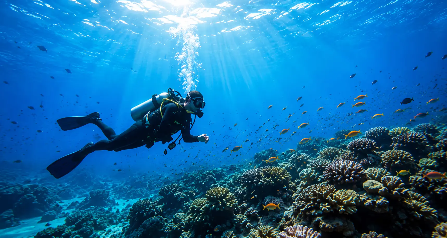 Scuba Diving Malapascua: The Ultimate 2027 Travel Guide for European Divers