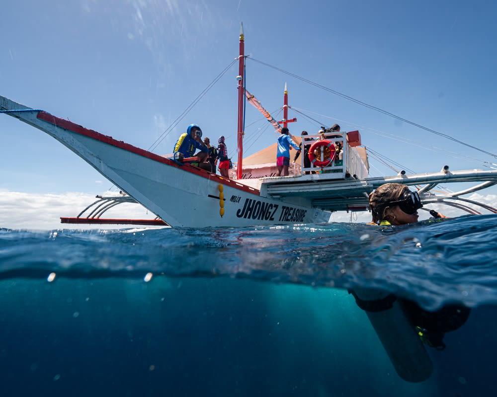 MBI divers and trips